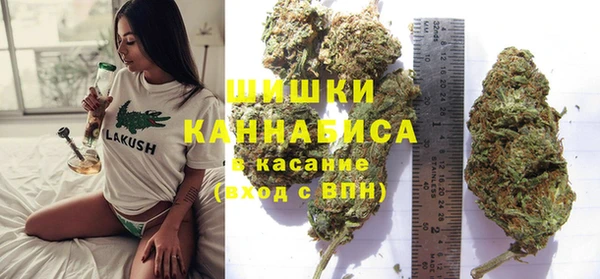 дурь Алзамай