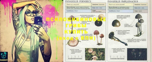 винт Армянск