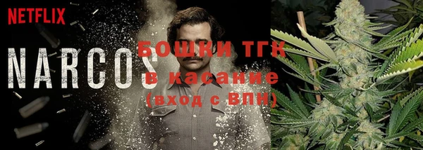 винт Армянск