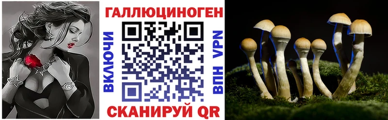 Псилоцибиновые грибы Magic Shrooms Сольвычегодск